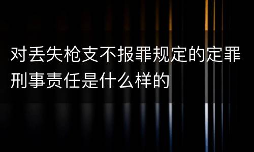 对丢失枪支不报罪规定的定罪刑事责任是什么样的