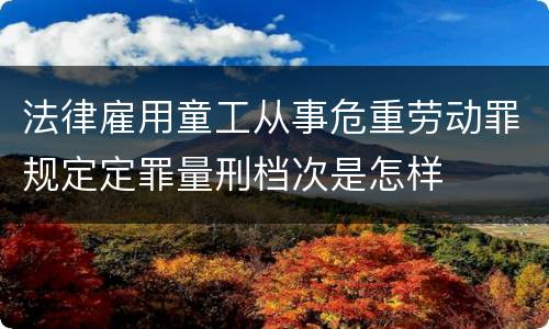 法律雇用童工从事危重劳动罪规定定罪量刑档次是怎样