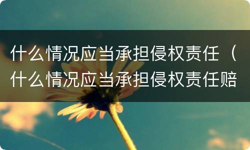 什么情况应当承担侵权责任（什么情况应当承担侵权责任赔偿）