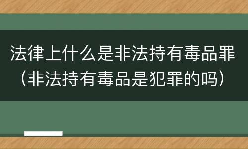 法律上什么是非法持有毒品罪（非法持有毒品是犯罪的吗）