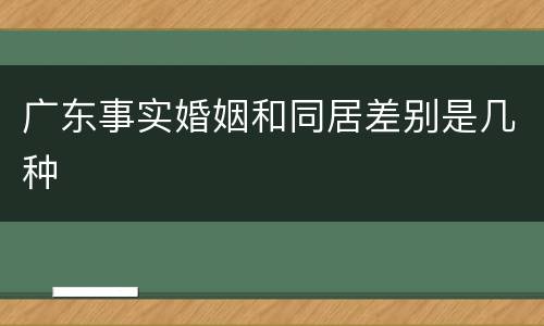广东事实婚姻和同居差别是几种