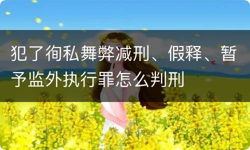 犯了徇私舞弊减刑、假释、暂予监外执行罪怎么判刑