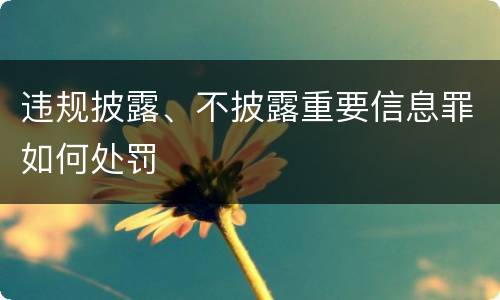 违规披露、不披露重要信息罪如何处罚