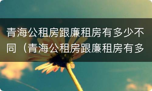 青海公租房跟廉租房有多少不同（青海公租房跟廉租房有多少不同之处）