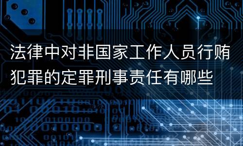 法律中对非国家工作人员行贿犯罪的定罪刑事责任有哪些