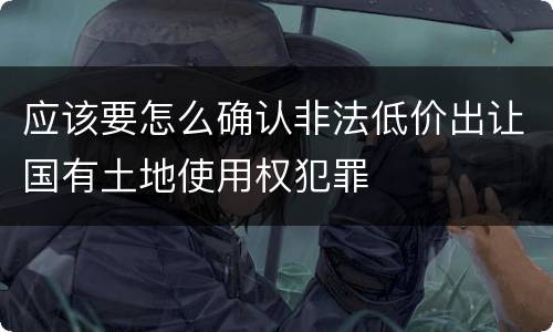 应该要怎么确认非法低价出让国有土地使用权犯罪