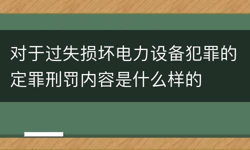 对于过失损坏电力设备犯罪的定罪刑罚内容是什么样的