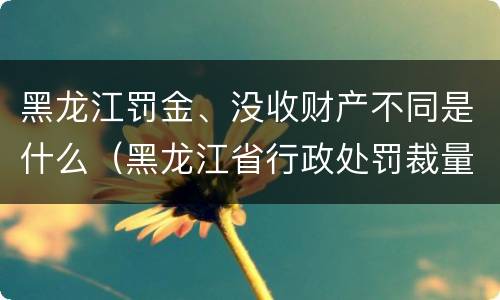 黑龙江罚金、没收财产不同是什么（黑龙江省行政处罚裁量标准）