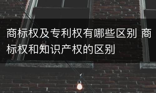 商标权及专利权有哪些区别 商标权和知识产权的区别