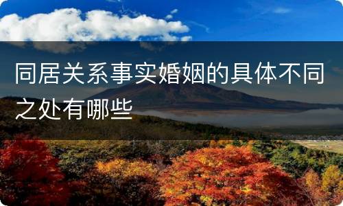 同居关系事实婚姻的具体不同之处有哪些