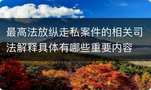 最高法放纵走私案件的相关司法解释具体有哪些重要内容