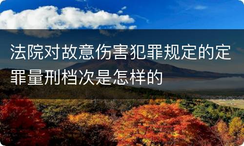 法院对故意伤害犯罪规定的定罪量刑档次是怎样的