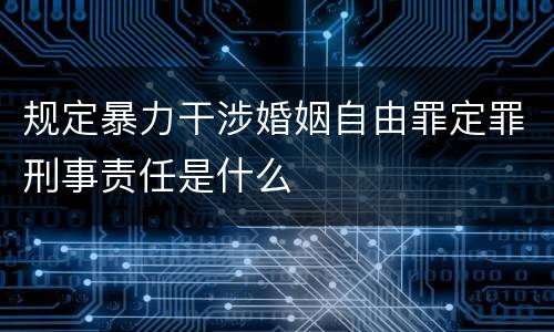 规定暴力干涉婚姻自由罪定罪刑事责任是什么
