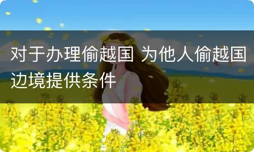对于办理偷越国 为他人偷越国边境提供条件