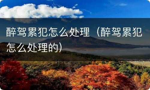 醉驾累犯怎么处理（醉驾累犯怎么处理的）