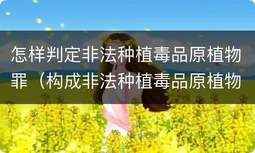 怎样判定非法种植毒品原植物罪（构成非法种植毒品原植物罪）