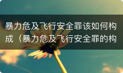 暴力危及飞行安全罪该如何构成（暴力危及飞行安全罪的构成要件）
