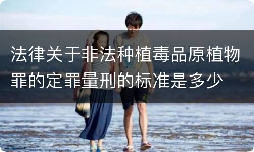 法律关于非法种植毒品原植物罪的定罪量刑的标准是多少