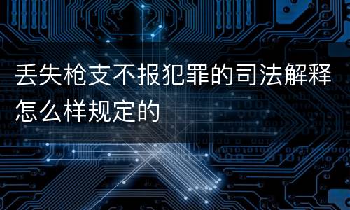 丢失枪支不报犯罪的司法解释怎么样规定的