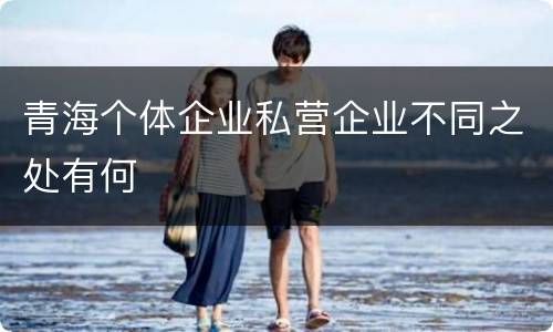 青海个体企业私营企业不同之处有何
