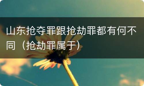 山东抢夺罪跟抢劫罪都有何不同（抢劫罪属于）