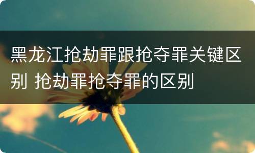 黑龙江抢劫罪跟抢夺罪关键区别 抢劫罪抢夺罪的区别