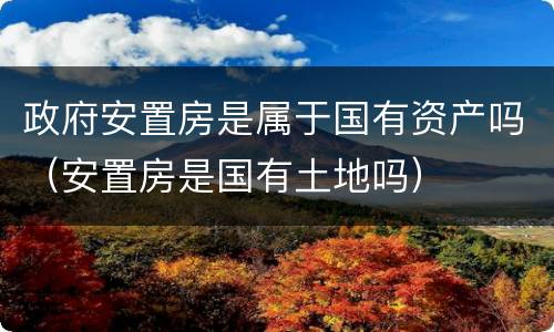政府安置房是属于国有资产吗（安置房是国有土地吗）
