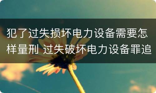 犯了过失损坏电力设备需要怎样量刑 过失破坏电力设备罪追诉标准