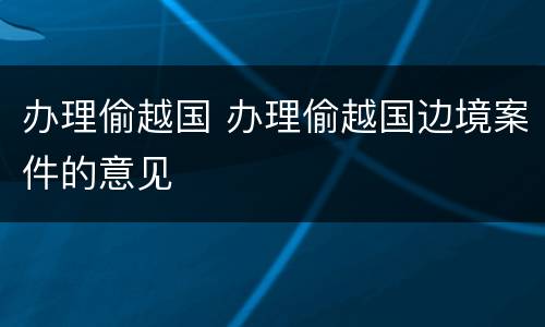 办理偷越国 办理偷越国边境案件的意见