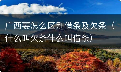 广西要怎么区别借条及欠条（什么叫欠条什么叫借条）