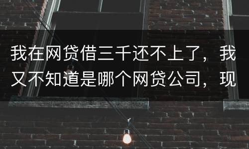 我在网贷借三千还不上了，我又不知道是哪个网贷公司，现在他们起诉我了，我会坐牢吗
