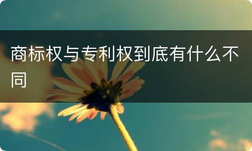 商标权与专利权到底有什么不同