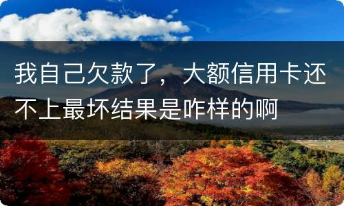 我自己欠款了，大额信用卡还不上最坏结果是咋样的啊