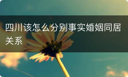 四川该怎么分别事实婚姻同居关系
