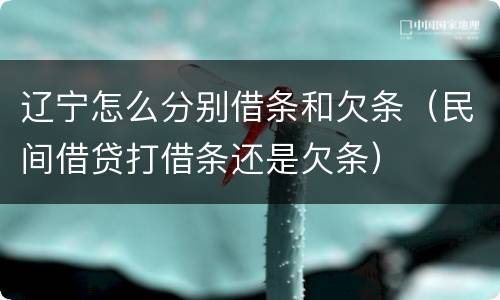 辽宁怎么分别借条和欠条（民间借贷打借条还是欠条）