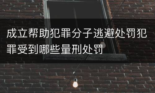 成立帮助犯罪分子逃避处罚犯罪受到哪些量刑处罚