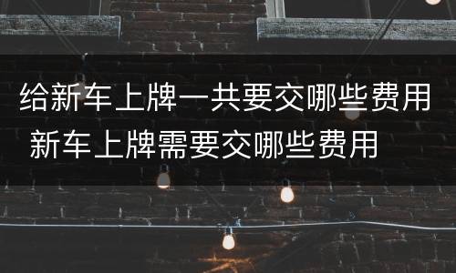 给新车上牌一共要交哪些费用 新车上牌需要交哪些费用