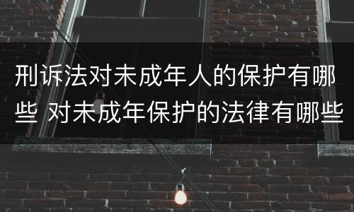 刑诉法对未成年人的保护有哪些 对未成年保护的法律有哪些
