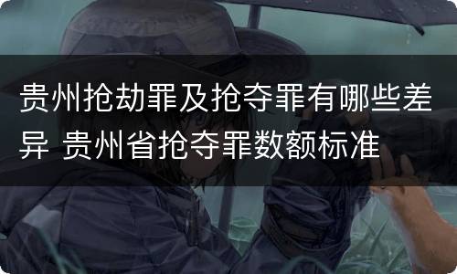 贵州抢劫罪及抢夺罪有哪些差异 贵州省抢夺罪数额标准