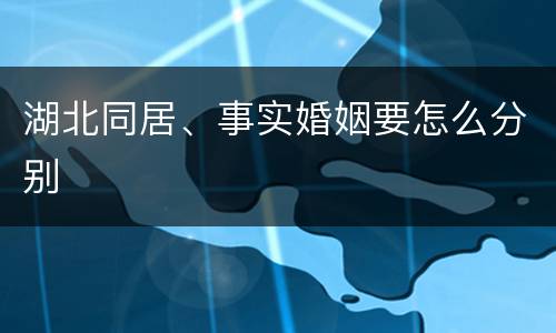 湖北同居、事实婚姻要怎么分别