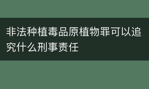 非法种植毒品原植物罪可以追究什么刑事责任