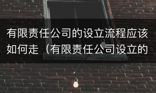 有限责任公司的设立流程应该如何走（有限责任公司设立的流程是怎样的）