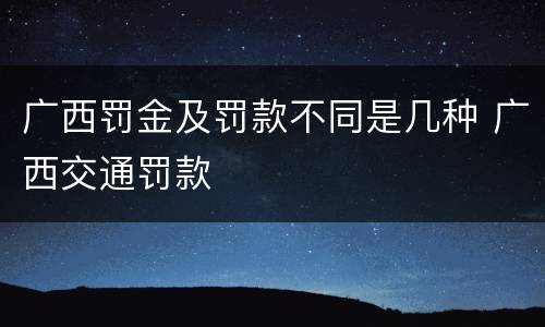 广西罚金及罚款不同是几种 广西交通罚款