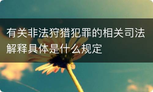 有关非法狩猎犯罪的相关司法解释具体是什么规定