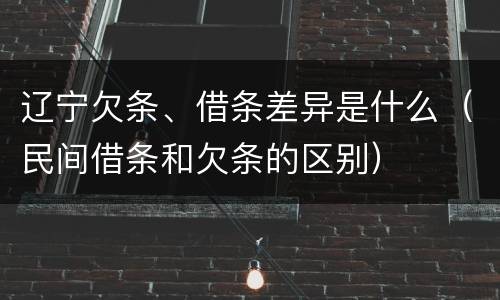 辽宁欠条、借条差异是什么（民间借条和欠条的区别）