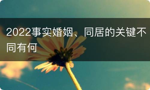2022事实婚姻、同居的关键不同有何