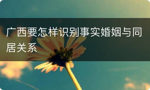 广西要怎样识别事实婚姻与同居关系