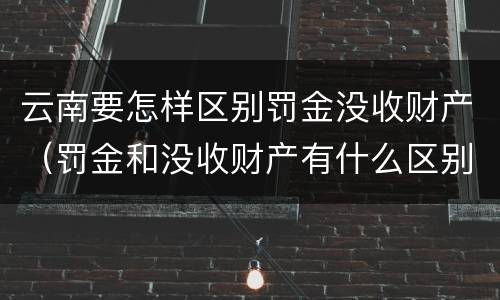 云南要怎样区别罚金没收财产（罚金和没收财产有什么区别）