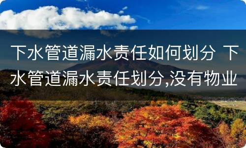 下水管道漏水责任如何划分 下水管道漏水责任划分,没有物业