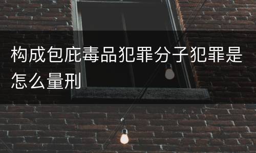 构成包庇毒品犯罪分子犯罪是怎么量刑